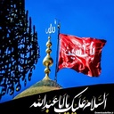 Profile picture of ‌مصطفی‌