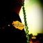 Profile picture of ‌F_M_Ghasemi‌