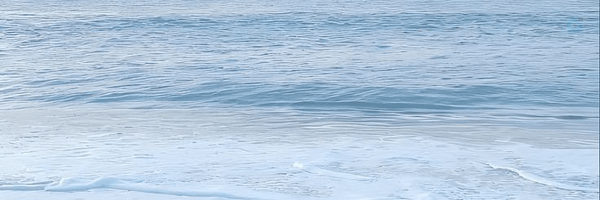 ‌. BOSHRA‌'s header picture