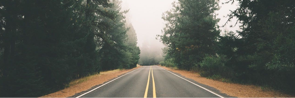 ‌Alireza Reyhani‌'s header picture
