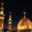 Profile picture of ‌محمدرضا‌