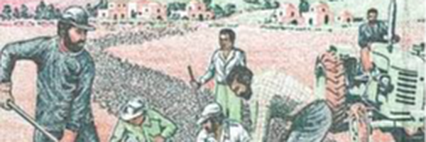 ‌مهدی صدیقی‌'s header picture