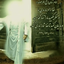 Profile picture of ‌فاطمه‌