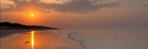 ‌MAHAN‌'s header picture