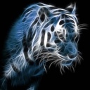 Profile picture of ‌وحید میرزایی ۱‌
