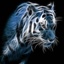 Profile picture of ‌وحید میرزایی ۱‌