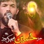 جز حسین هیچکی نبود