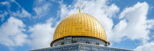 ‌『 پسرِ حاجی 』‌'s header picture