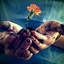 07 آزادی