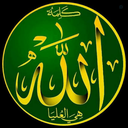 Profile picture of ‌محمد مجیدپور‌