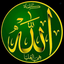 Profile picture of ‌محمد مجیدپور‌