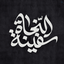Profile picture of ‌سَفیـنَةُاْل‍ٌنَّــجٰـاةْ¹²⁸🇮🇷‌