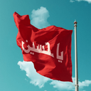 Profile picture of ‌دوستدار انقلاب‌