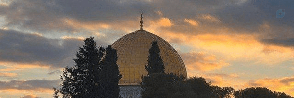‌سید مهدی‌'s header picture