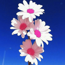 Profile picture of ‌شهروند!‌