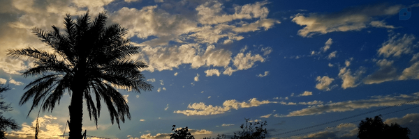 ‌خٰانومِ ایـگرگـ ◔‿◔‌'s header picture