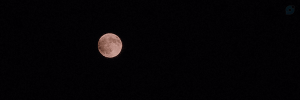 ‌ساقی‌'s header picture
