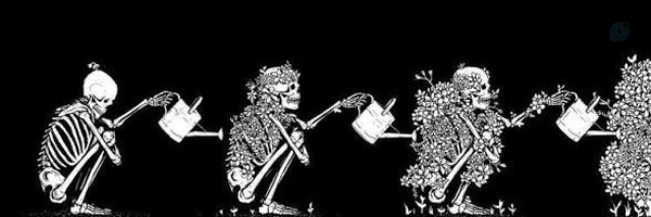 ‌Hadiiiiii‌'s header picture