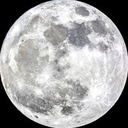 Profile picture of ‌افشین بسیجه‌