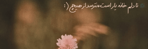 ‌زهرا بختیاری‌'s header picture