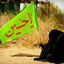 Profile picture of ‌نازنین فاطمه‌