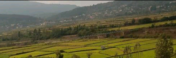 ‌پرهام نورمندی پور‌'s header picture