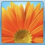Profile picture of ‌ویندوز سون‌