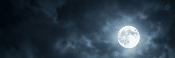 ‌Volkal‌'s header picture