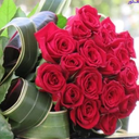 Profile picture of ‌Fardin .‌