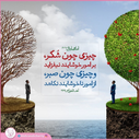 Profile picture of ‌علی بی سرا‌