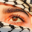 Profile picture of ‌𝒩𝒶𝓏𝒶𝓃𝒾𝓃‌