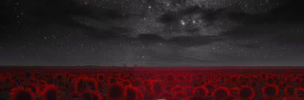 ‌مجتبی سلگی‌'s header picture