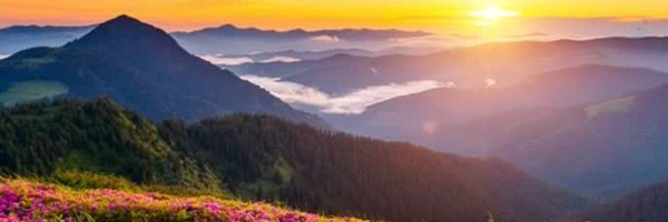 ‌ایرانِ سَر بُلند‌'s header picture