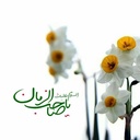 Profile picture of ‌فاطمه‌