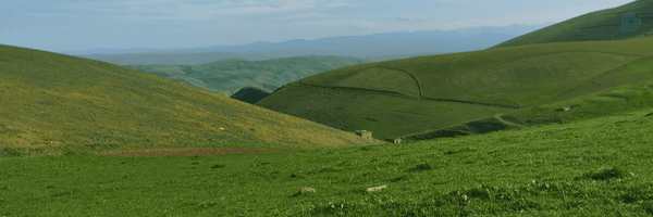 ‌یک بنده خدایی ...‌'s header picture