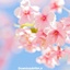 Profile picture of ‌بهار‌