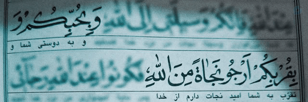 ‌خـانـومِ اِفـ۳۱۳🇮🇷‌'s header picture