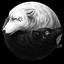 Profile picture of ‌Mester Infinite‌