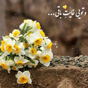 Profile picture of ‌منتظرم‌