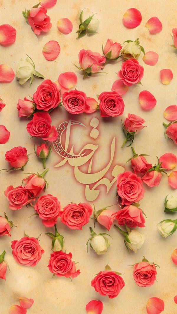 ماهمه مهمان خدا هستیم 
پس آداب مهمانی را رعایت کنیم🌹
