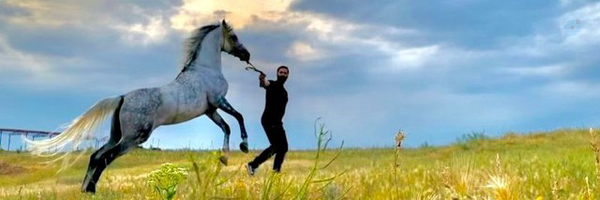 ‌دختر ایران‌'s header picture