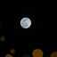 Profile picture of ‌کسرا‌