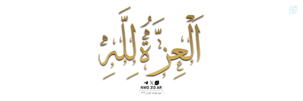 ‌نيو وورلد اوردر ٣١٣‌'s header picture