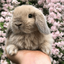 Profile picture of ‌مهـ👀وآ/83‌