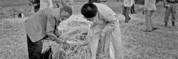 ‌جلال کلانتر‌'s header picture