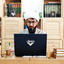 Profile picture of ‌طلبه تبیینگر‌