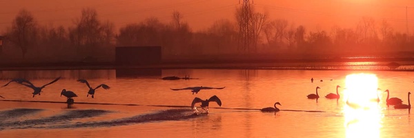 ‌موسی مزینانیان‌'s header picture