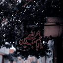 Profile picture of ‌فادیا‌