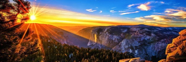‌علی‌'s header picture