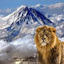 Profile picture of ‌علی علی‌